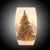 Stony Creek 7.75 In Adorned Evergreen Med Vase Electric Winter Christmas Novelty Sculpture Lights - 2 of 3