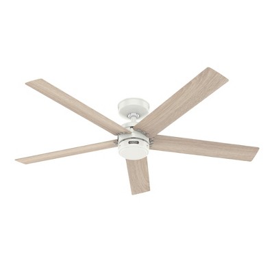 52" Burton Damp Rated Ceiling Fan and Wall Control - Hunter Fan