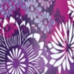 rich violet blooming