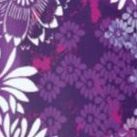 rich violet blooming