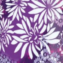 rich violet blooming