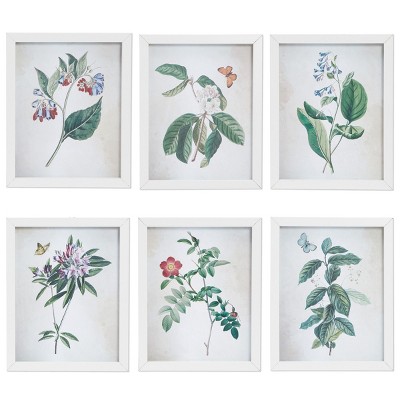 Okuna Outpost 6 Pack Framed Floral Plant Botanical Wall Art Print Sets, 10 x 8 in
