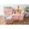 Design Imports Set of 5 Antique White Chicken Wire Liner Baskets Blush: Iron & Cotton Storage, Rectangle, Hand Wash - 3 of 4