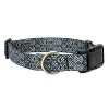 Country Brook Petz Deluxe Dog Collar - Abstract Collection - Made In The U.S.A. - 4 of 4
