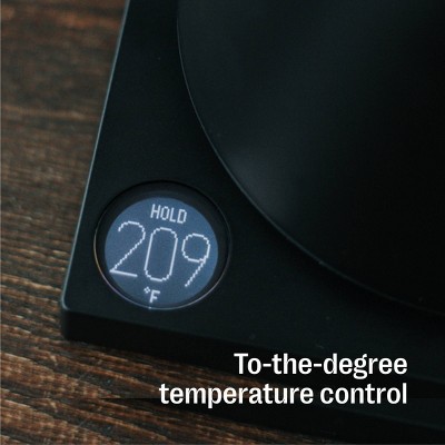 Matte Black Stainless Steel Electric Kettle with Precision Control