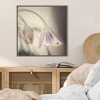 Amanti Art Soft shades of pink petals by Carla Vermeend Canvas Wall Art Print Framed 22 x 22-in. - 4 of 4