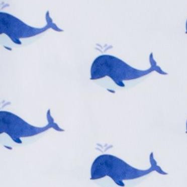 whale friends