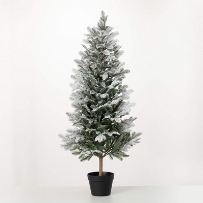 4'H Sullivans Potted Snowy Pine Christmas Tree, Green