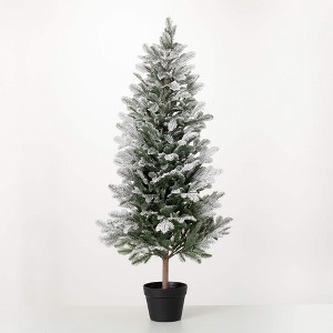 4'H Sullivans Potted Snowy Pine Christmas Tree, Green - 1 of 2