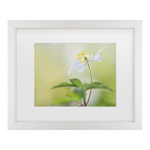 Trademark Fine Art - Heidi Westum Spring light Matted Framed Art - 1 of 4