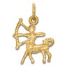 Black Bow Jewelry 14k Yellow Gold Sagittarius the Archer Zodiac Satin & D/C Charm - 3 of 4