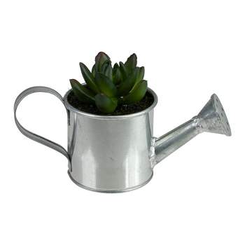 Northlight 4" X Pachyveria Succulent in Water Can Artificial Potted Plant - Green/Silver