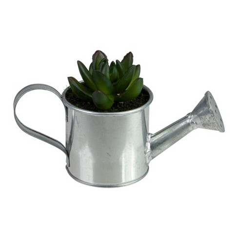 Northlight 4" X Pachyveria Succulent in Water Can Artificial Potted Plant - Green/Silver - image 1 of 3