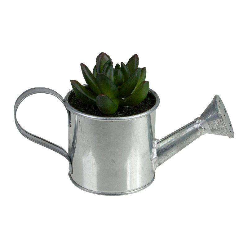 Northlight 4" X Pachyveria Succulent in Water Can Artificial Potted Plant - Green/Silver, 1 of 4