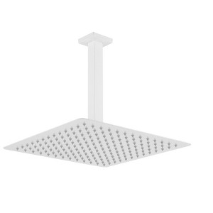 PAGED High Pressure Rain Shower Head Fixed Shower Head with Thin Showerhead and Self-Clean Nozzles for Bathroom, Locker Room - 1 of 4