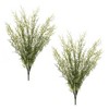 Mayweed Foliage Bush (Set of 2) - 3 of 3