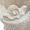 Okak 9x5.5x5.7 Inches Sand and Cement Conch Shell Planter Textured Finish for Indoor and Outdoor Use, Decorative Plant Pot - 3 of 4