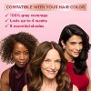 Garnier Color Sensation Color Retouch Ammonia Free Demi Permanent Hair Color - 4 of 4