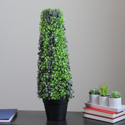 Festive 26" Green Boxwood Cone Topiary Tree in Black Pot