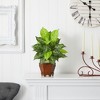 Nearly Natural Dieffenbachia with Wood Vase Artificial Plant (Set of 2), Variegated - 4 of 4