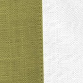 avocado and white