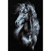 RIOLIS Counted Cross Stitch Kit 11.75"X17.75"-Breeze Through Mane (14 Count) - 2 of 2
