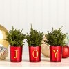 8" Christmas "JOY" Tabletop Card Holder Votive Set - National Tree Company - 2 of 4