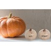 Transpac Harvest Embossed Pumpkin Dolomite Salt and Pepper Shakers Collectables Off-White 2.5 in. Set of 2 - 4 of 4