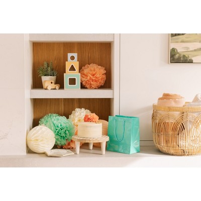 Mint, Peach, and Ivory 22-Piece Tissue Paper Pom Poms and Lantern Kit