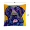 Pat Saunders 16 X 16 Decorative Throw Pillow by Trademark Fine Art - 4 of 4