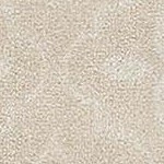 ivory beige