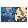 Nickelodeon Appa Kids' Pillow Pet - image 4 of 4