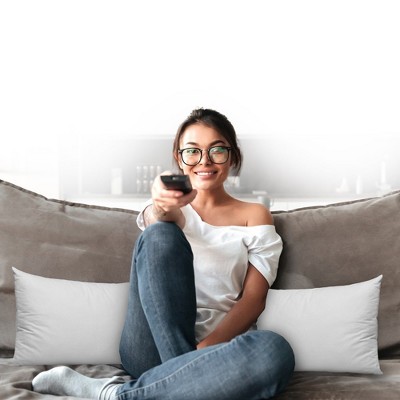Cheer Collection Set of 2 White Velour Throw Pillows