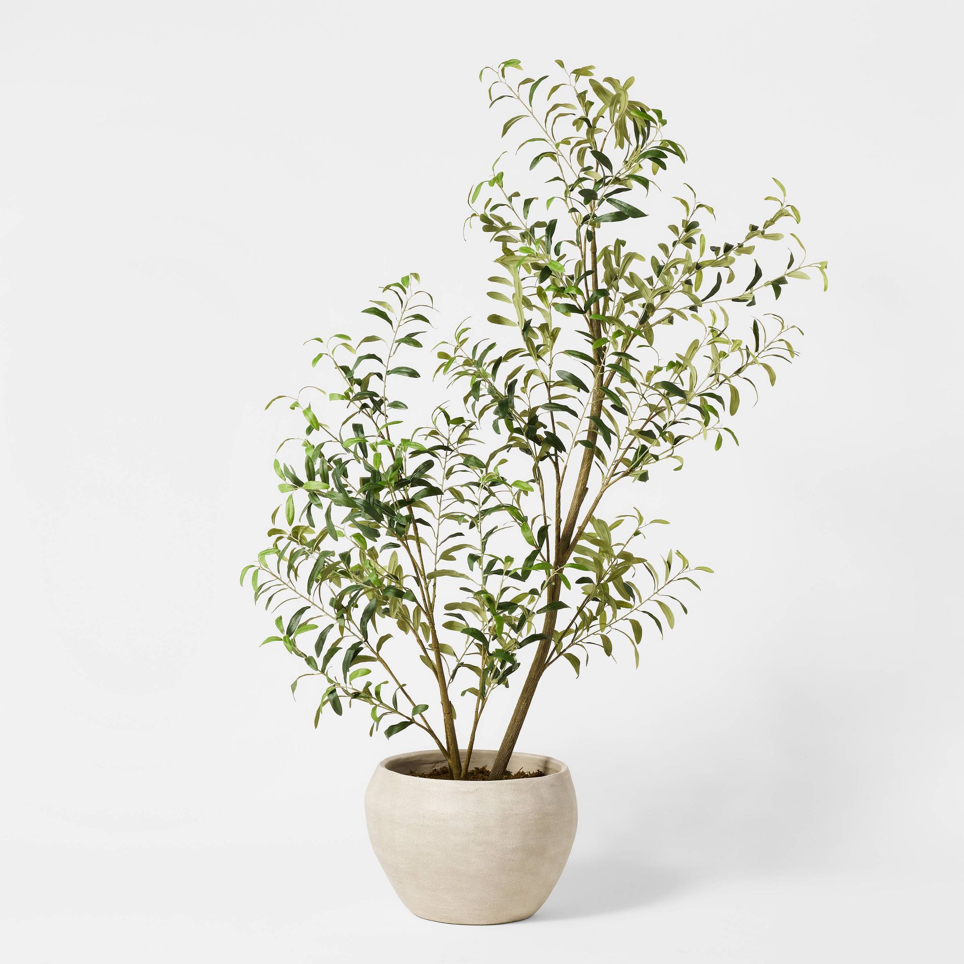 Asymmetrical Olive Tree - Threshold™ designed with Studio McGee