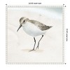 Amanti Art Sandpiper on the Beach II by Lucca Sheppard Canvas Wall Art Print Framed 22 x 22-in. - 3 of 4