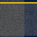 michigan wolverines