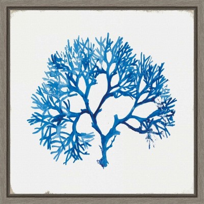 Amanti Art Blue Coral I by Aimee Wilson Canvas Wall Art Print Framed 16 x 16-in.