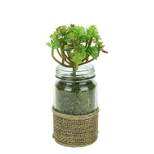 Melrose 7.25" Succulent Plant Artificial Potted Plant in Glass and Burlap Jar - Green/Brown