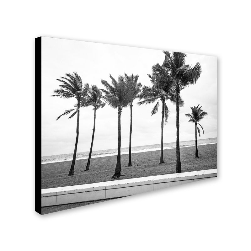 Trademark Fine Art -Preston 'Florida BW Beach Palms' Canvas Art, 1 of 4