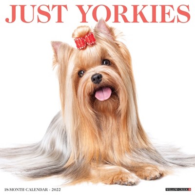 2022 Wall Calendar Just Yorkies - Willow Creek Press