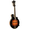 The Loar LM-600 F-Model Mandolin - 4 of 4