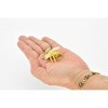 Collectible Wildlife Gifts | Honeybee, Plastic Toy Animal, Kids Gift, Realistic Figure, Educational Model, Replica,  1 5/8 inches long    F1655 B74 - 3 of 4