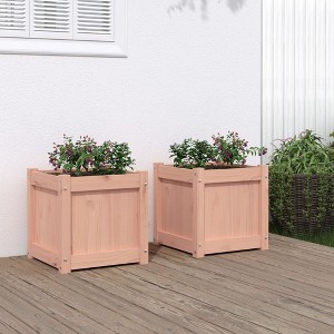 vidaXL Garden Planters 2 pcs Solid Wood Douglas - 1 of 4