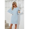 Womens Long Sleeve Dress Round Neck Front Pocket Long Sleeve Shift Dress - 4 of 4