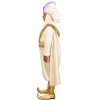 HalloweenCostumes.com Plus Size Men's Disney Aladdin Prince Ali Costume | Officially Licensed Shirt,  Cape, Turban, and Shoe Covers - 4 of 4