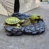 Esterno Turtles Splash Block; Resin Turtle Pond Gutter Downspout Accessory - 2 of 4