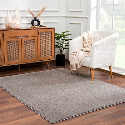 Hauteloom Heavenly Solid Gray Plush Rug
