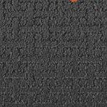 baltimore orioles 1955