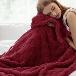 Bedsure | Cute Soft Cozy Checkered Throw Blanket for Couch - 1 of 4