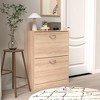 TIRAMISUBEST Natural Wood Shoe Cabinet - 2 Flip-Door Storage for Entryway, Farmhouse Style (20.9"x9.4"x43.1") - 3 of 4